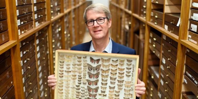 Norbert Lenz, Direktor des Staatlichen Museum für Naturkunde Karlsruhe, zeigt in einem Magazin einen Sammlungskasten mit verschiedenen Nachtfaltern. Foto: Uli Deck/dpa Norbert Lenz, Direktor des Staatlichen Museum für Naturkunde Karlsruhe, zeigt in einem Magazin einen Sammlungskasten mit verschiedenen Nachtfaltern. Foto: Uli Deck/dpa