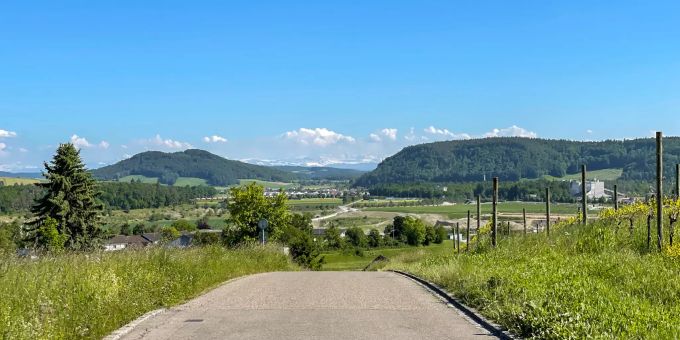 Landschaft bei Wil ZH. Landschaft bei Wil ZH.