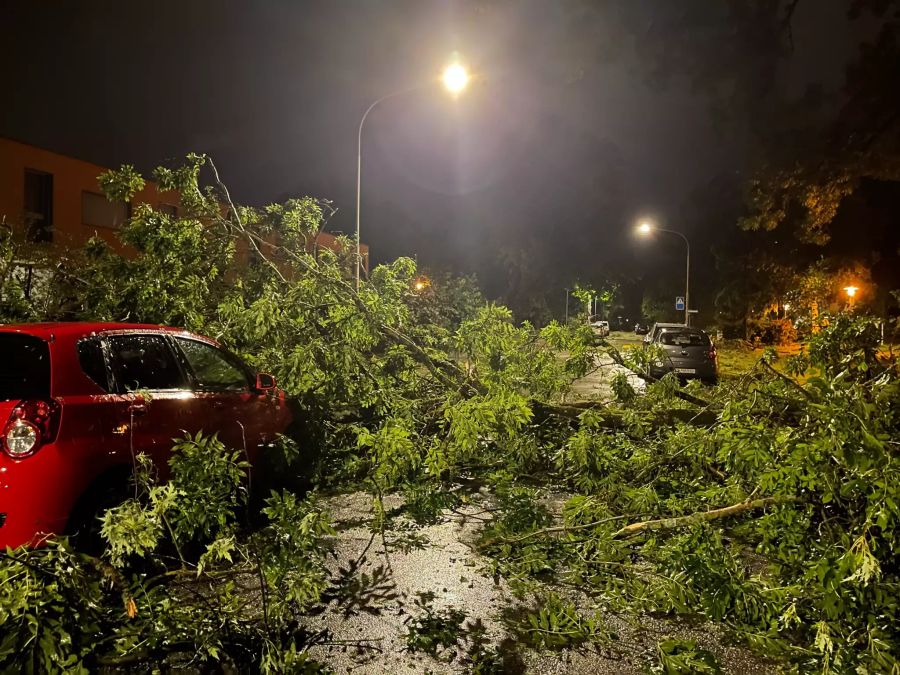 Umgestürzte Bäume blockieren eine Strasse und begraben ein Auto unter sich.