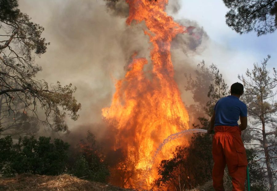 waldbrand zypern