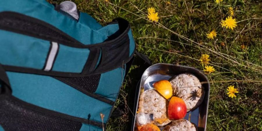 Kinder von fünf bis zwölf Jahren können im Nationalpark Schwarzwald Juniorranger sein. In kleinen Gruppen lernen sie Grundlegendes über die Natur und Tiere. Foto: Philipp von Ditfurth/dpa