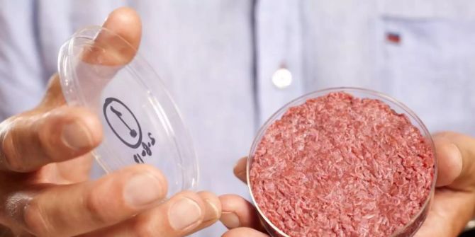 Professor Mark Post von der Universität Maastricht zeigt bei einer Produktpräsentation in London «Laborfleisch» aus der Petrischale.