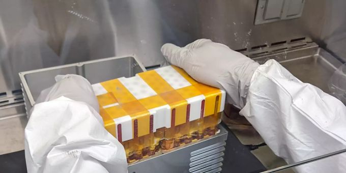 Aus Gewebestammzelle - Zürcher Forschende züchten Mini-Organe im All