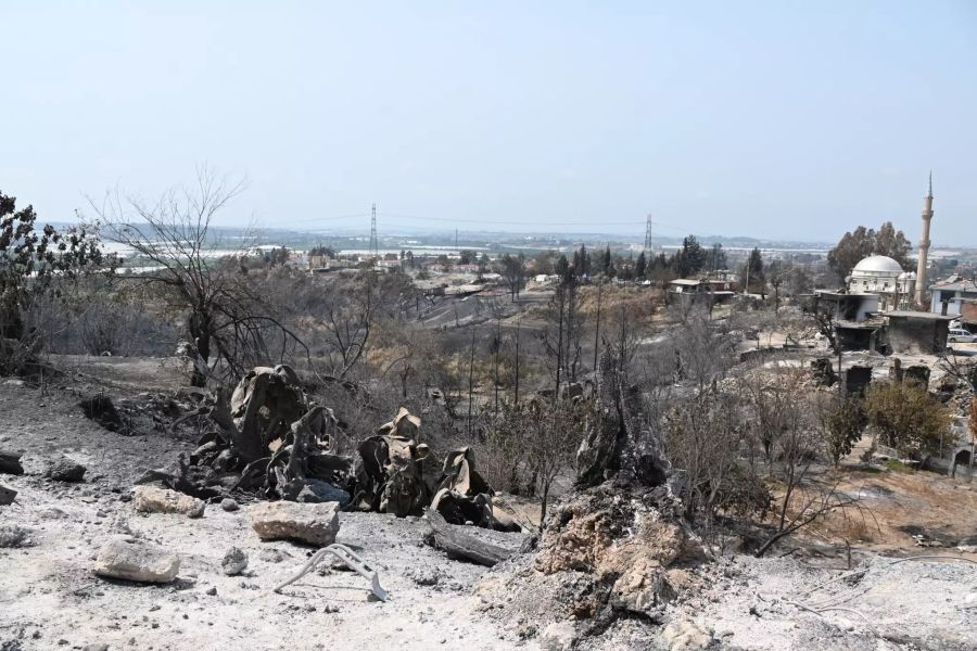 Waldbrände in der Türkei