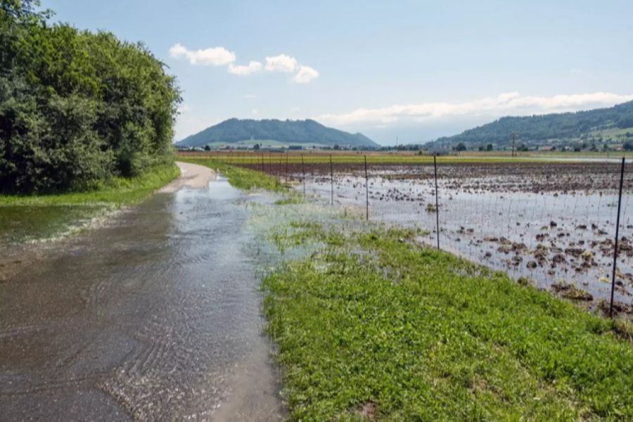 Ein geflutetes Feld in Belp BE.