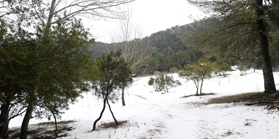 Die Serra de Tramuntana auf Mallorca ist aktuell schneebedeckt.