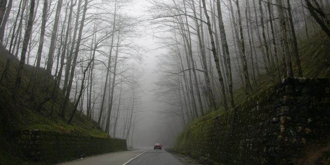 Herbst Nebel Wälder Autofahrer