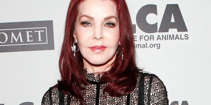 Priscilla Presley arbeitet an einem neuen Projekt. Priscilla Presley