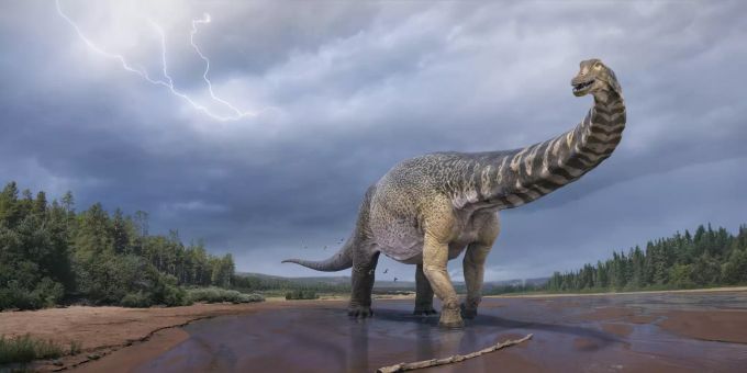 Eine künstlerische Darstellung zeigt den Dinosaurier Australotitan cooperensis oder den Südtitan. (Symbolbild) Australotitan cooperensis