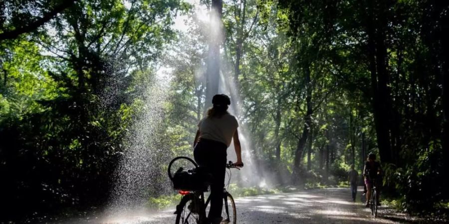 Wohl dem, der ein bisschen Kühlung abbekommt: Wassersprenger im Berliner Tiergarten. Foto: Kay Nietfeld