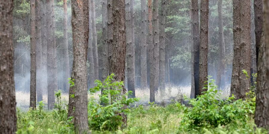 Waldbrand