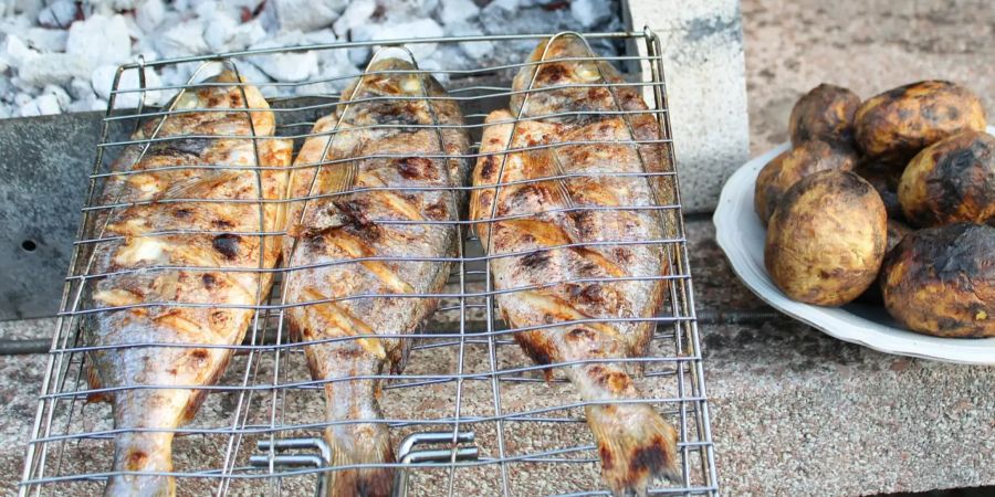 fisch grill