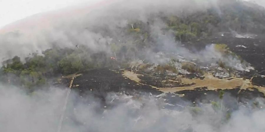 Drohnenfoto eines Brandes in der Gemeinde Guaranta do Norte im Bundesstaat Mato Grosso. In Brasilien wüten derzeit die schwersten Waldbrände seit Jahren. Foto: Corpo De Bombeiros De Mato Gross/AP