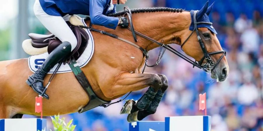 Springreiter Daniel Deusser auf seinem Pferd Killer Queen. Foto: Uwe Anspach