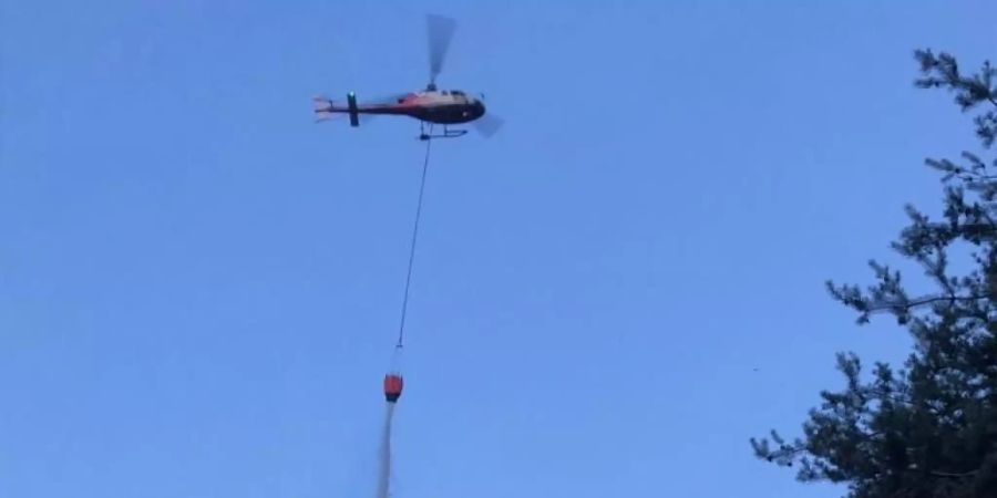 Feuerwehr und Polizei konnten das Feuer in einem Wald bei Riddes VS in knapp zwei Stunden löschen. Unterstützung erhielten sie von einem Helikopter der Air-Glaciers.