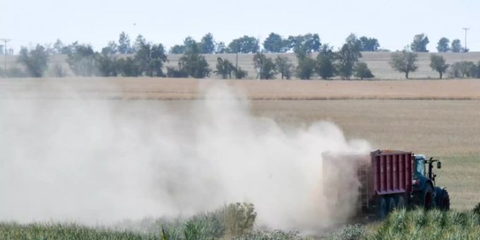 Getreideernte in Sachsen-Anhalt (Symbolbild). Getreide Ukraine-Krieg