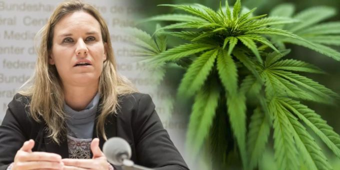 «Schäden im Gehirn» - SVP empört wegen Gras-Legalisierung für Teenies