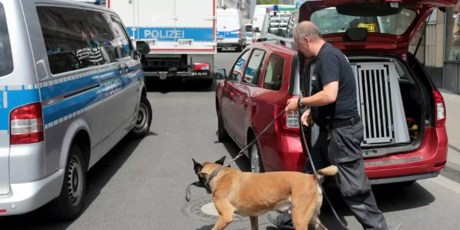 Polizist mit Sprengstoffhund an Baustelle in Köln