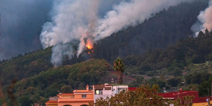 Waldbrände auf Teneriffa