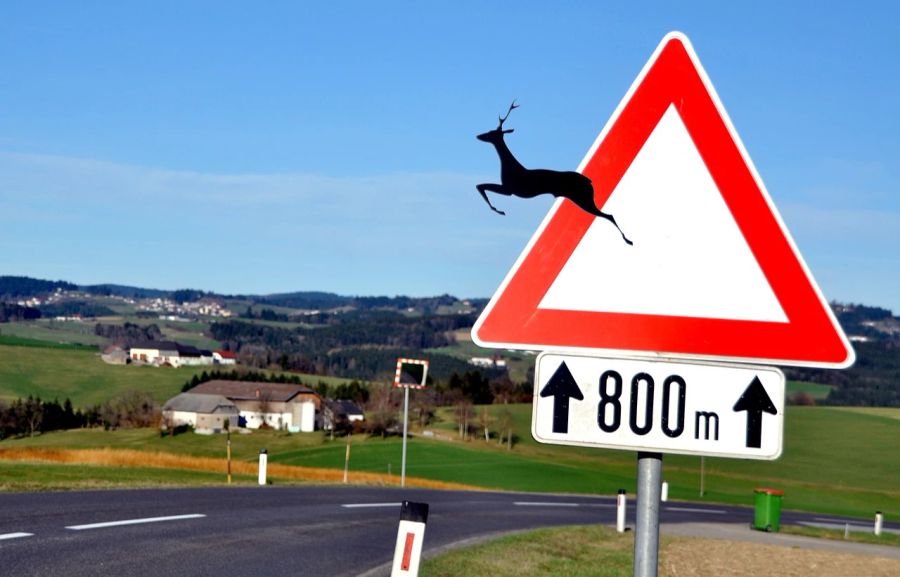 Landstrasse Schild Wildwechsel Feld