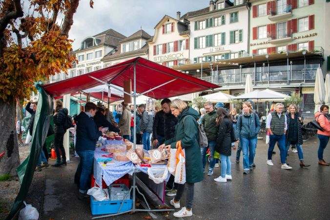 Käsereien aus der ganzen Schweiz präsentierten ihre Waren am Käsefest.