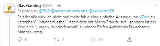 Fans verteidigen den BVB. BVB