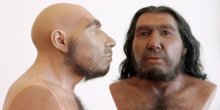 Neandertaler