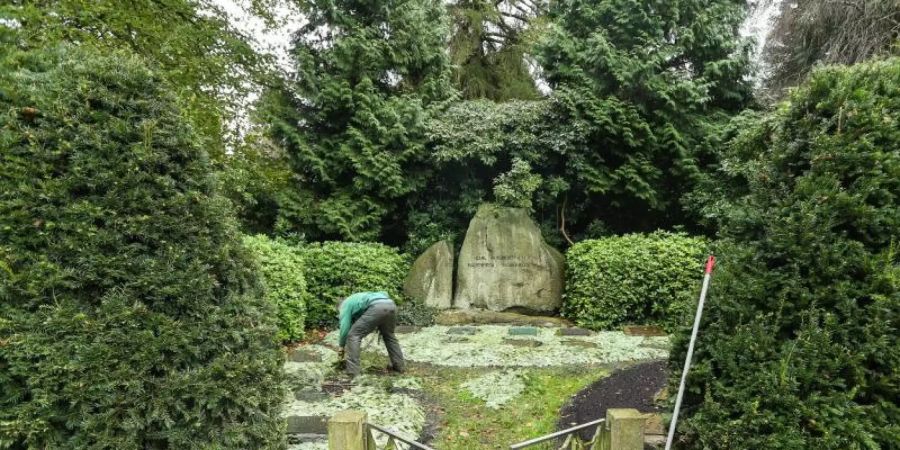 Ein Friedhofsgärtner pflegt das Familiengrab der Tierpark-Dynastie Hagenbeck auf dem Friedhof Ohlsdorf. Foto: Ulrich Perrey/dpa