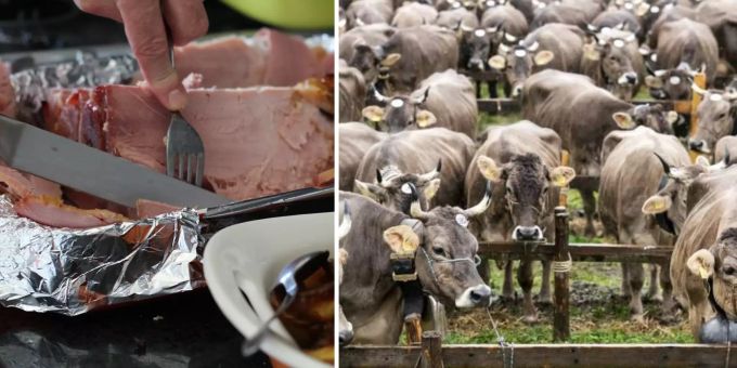 Anstatt Fleisch essen - Stiftung will zu Tierpatenschaften motivieren