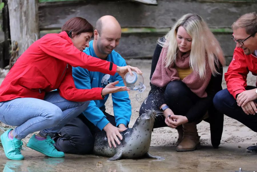 Das kleine Seehundmädchen wird im Zoo von Marie-Louise Dräger (l-r), Ruder-Weltmeisterin, Lars Purbst, Tierpfleger, Anika Zielinski (hat den Namen vorgeschlagen) und Karsten Pannwitt, OSPA-Vorstandsmitglied, auf den Namen Lotte getauft.