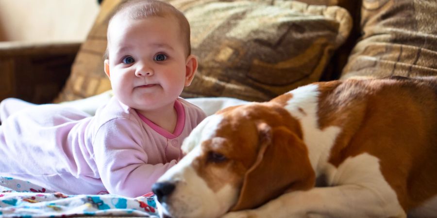 baby mit hund