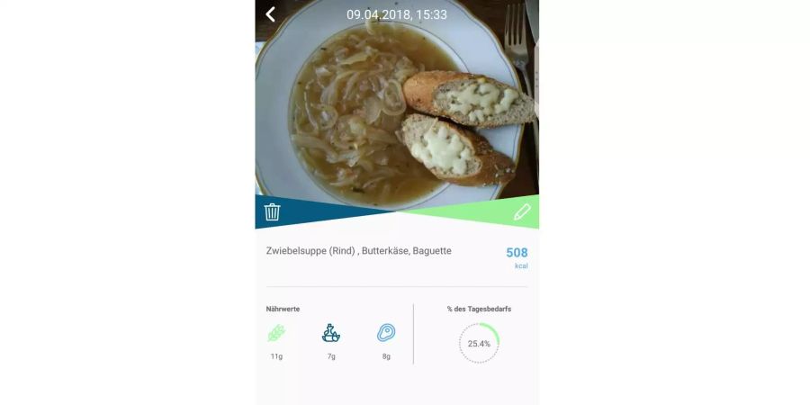 «Nudelsuppe» notiert Snics erst, korrigiert dann aber automatisch zum korrekten Menü.