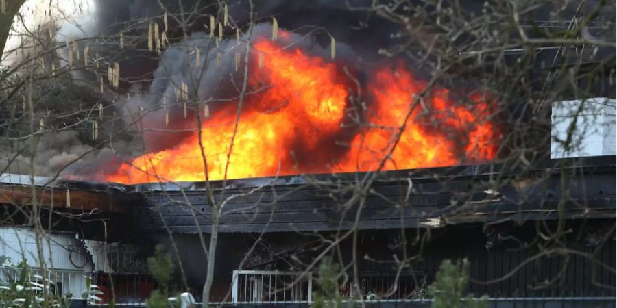 Die Feuerwehr konnte das Feuer rasch unter ihre Kontrolle bringen.