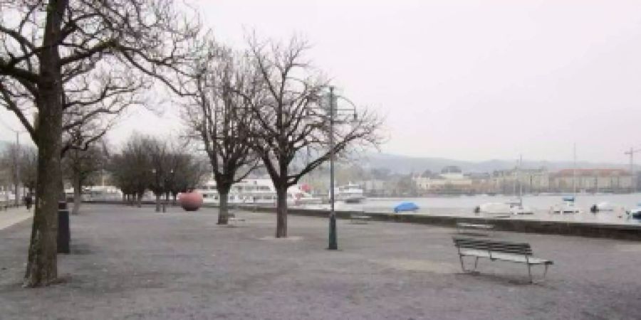 Kahlschlag General-Guisan-Quai