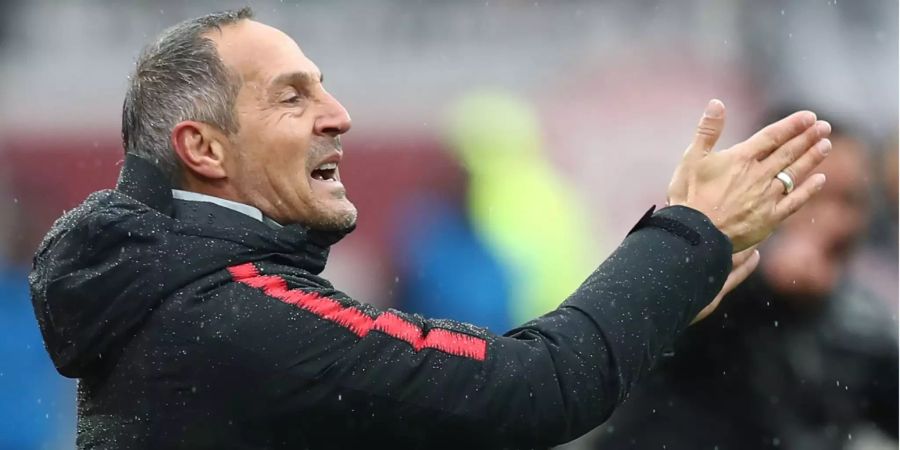 Eintracht Frankfurt Adi Hütter