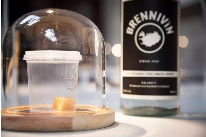 Hakarl ist eigentlich giftiges Fleich des Grönlandhais, das durch Vergraben und Fermentation geniessbar wird. Die Spezialität aus Island riecht allerdings so übel, dass sie im Disgusting Food Museum im schwedischen Malmö nur unter Glas ausgestellt wird. Hakarl, fermentiertes Haifischfleisch.