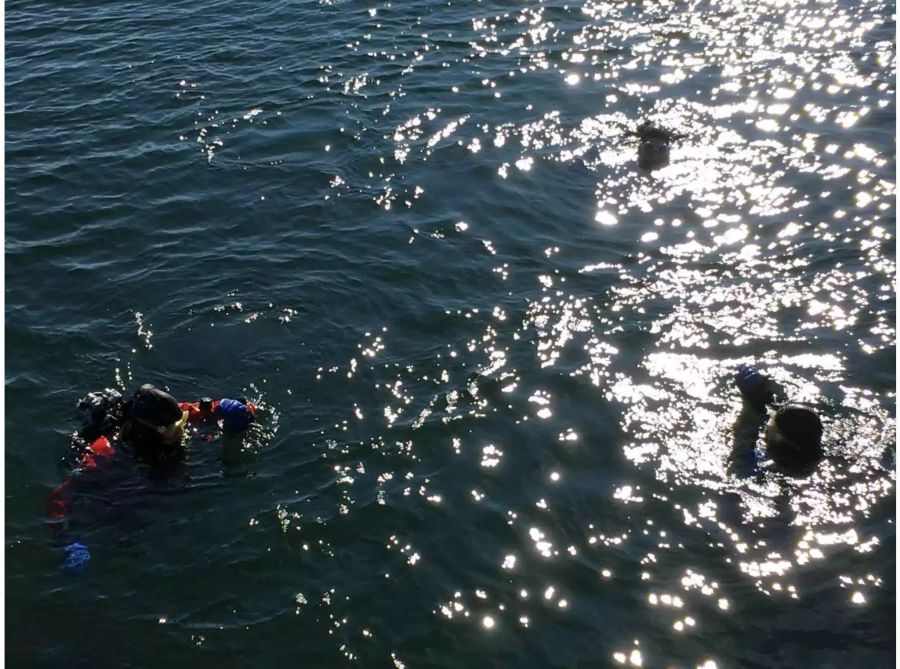 Die Polizei sucht im Zugersee nach vermisster Person.