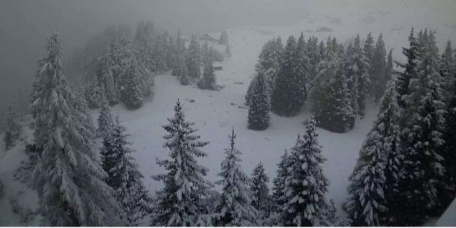 Wetter
