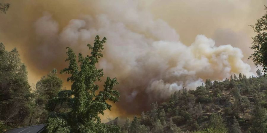 Ein Feuerwehrmann kam bei den Löscharbeiten bereits ums Leben.