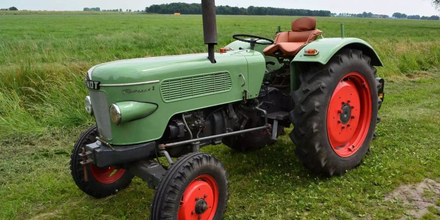 Ein Oldtimertraktor auf einer Wiese.