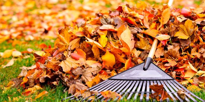 Laub Herbst Garten