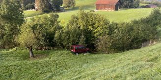 Ebnat-Kappel SG - Senior knallt in Zaun und verletzt Schaf tödlich