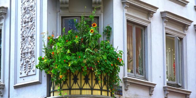 Den Balkon zum Garten machen - das geht. Balkon, Garten, Balkongarten