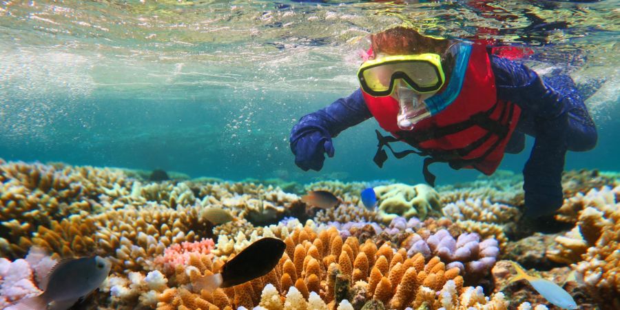 Beim Great Barrier Reef gelten besondere Sicherheitsvorkehrungen.