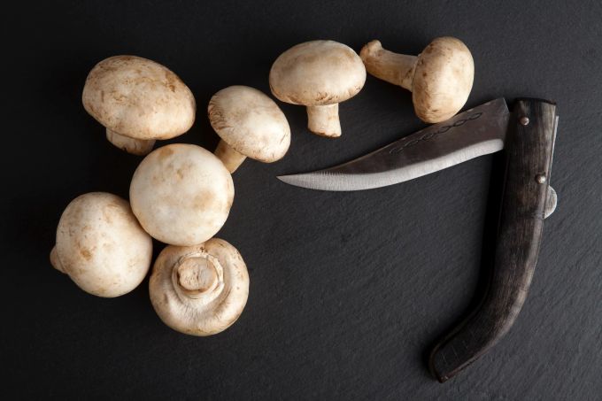 Kein Gemüse, trotzdem im Herbst schwer angesagt: Pilze. Pilze, Herbst