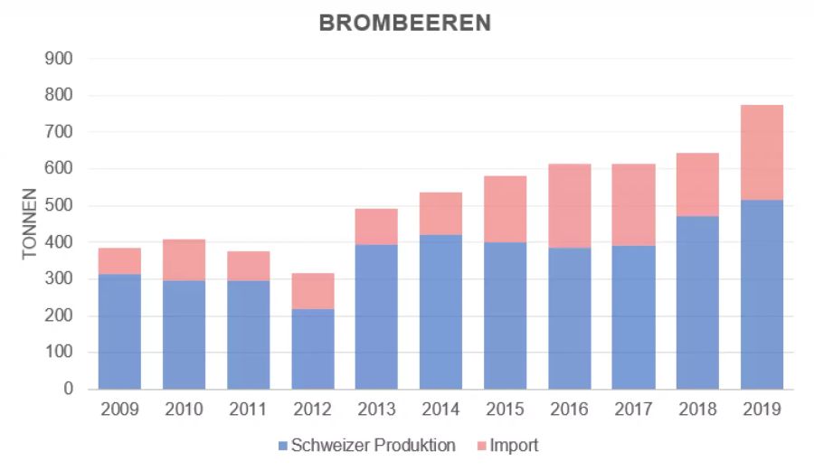 Einzig bei Brombeeren reicht die Schweizer Produktion für die Nachfrage beinahe aus.