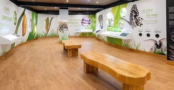 Druckerzeugnisse von Lettra Design für die Ausstellung der Papiliorama-Stiftung. Lettra Design
