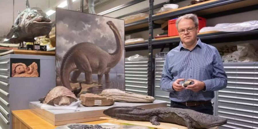 Rainer Schoch, Kurator fossile Amphibien und landlebende Reptilien im Naturkundemuseum Stuttgart. Foto: Marijan Murat/dpa