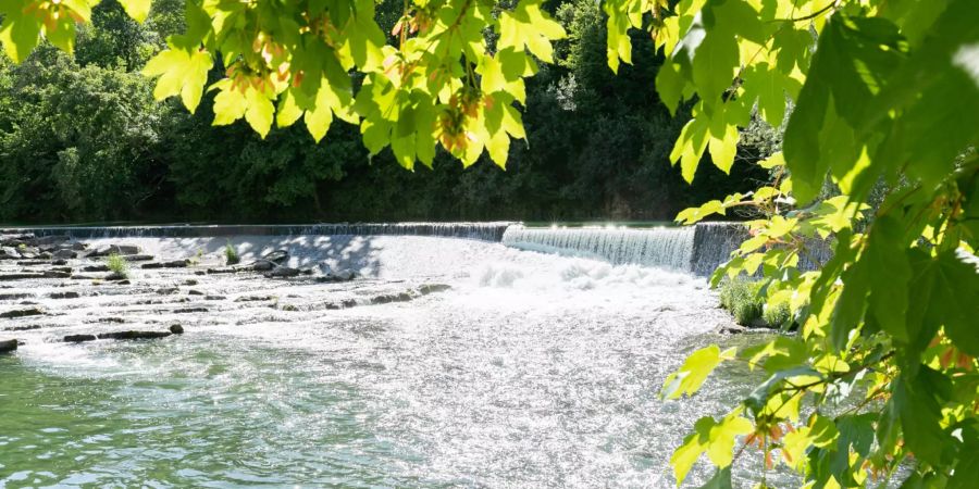 Die Limmat bei der Klosterhalbinsel in Wettingen.