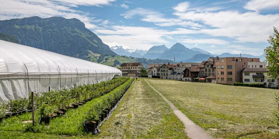 Aussicht über Felder im Kanton Schwyz.